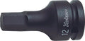 1/2 Sq. Dr. Bit Socket  10mm Hex Length 60mm