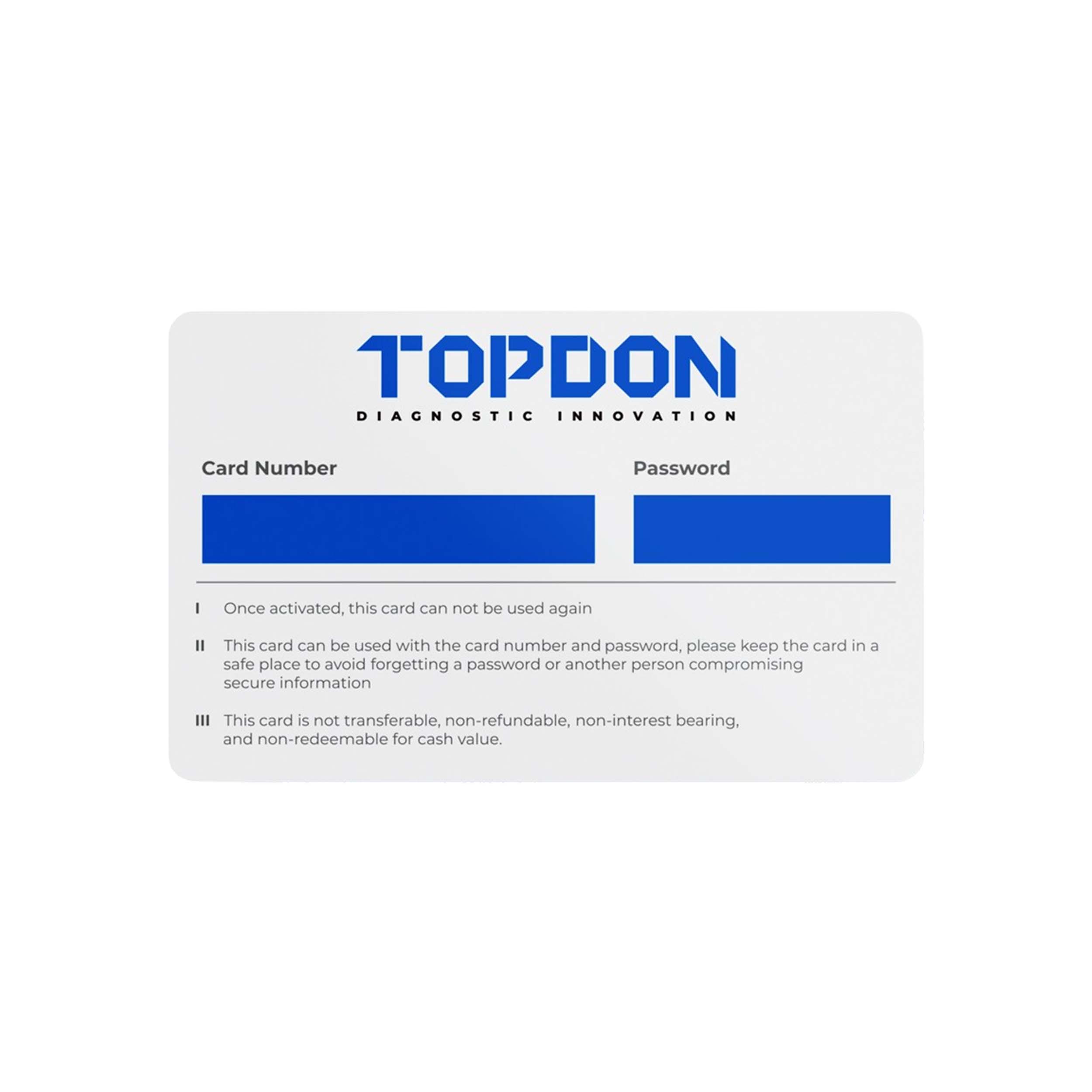 TOPDON ArtiDiag100 One-Year Update