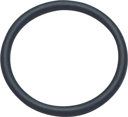 1" O Ring (100 pieces)