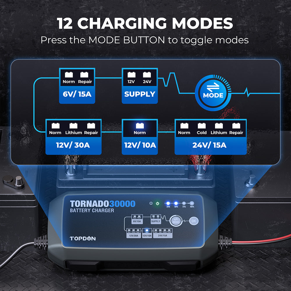 TOPDON 30A Smart Charger and Power Supply 12V/24V